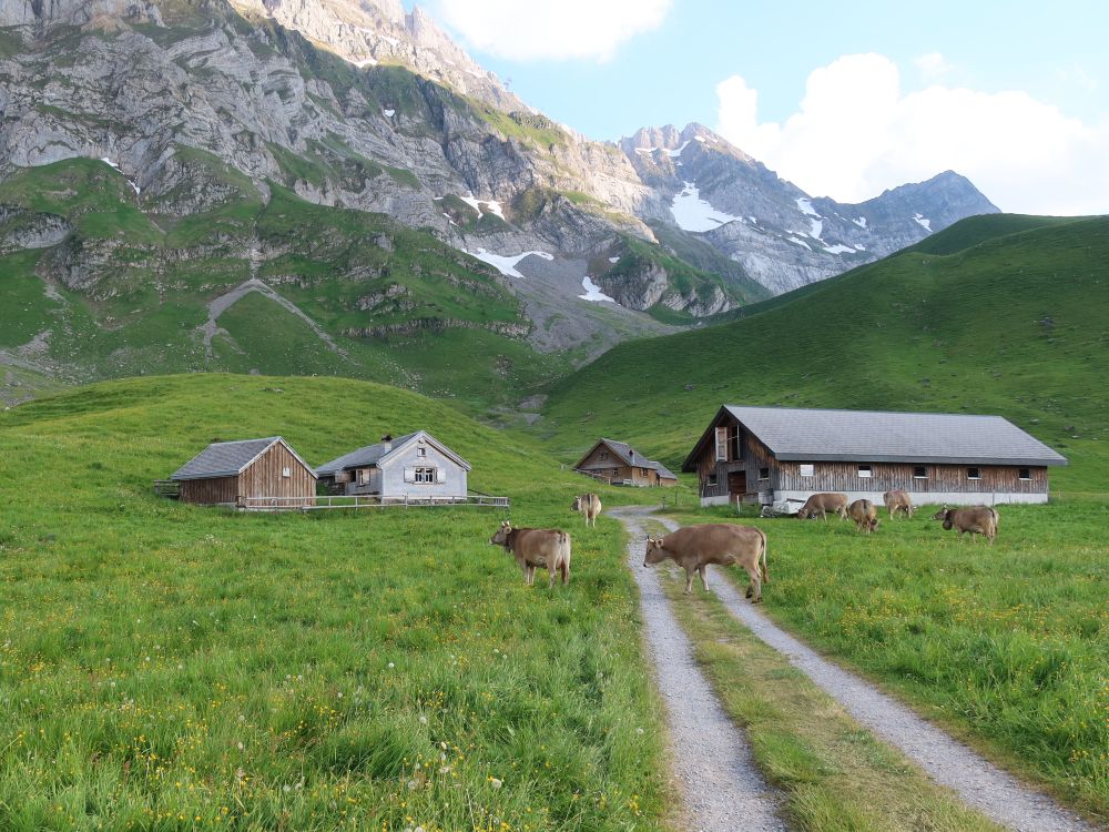 Schwarzhütte, Kammhütte und Luser