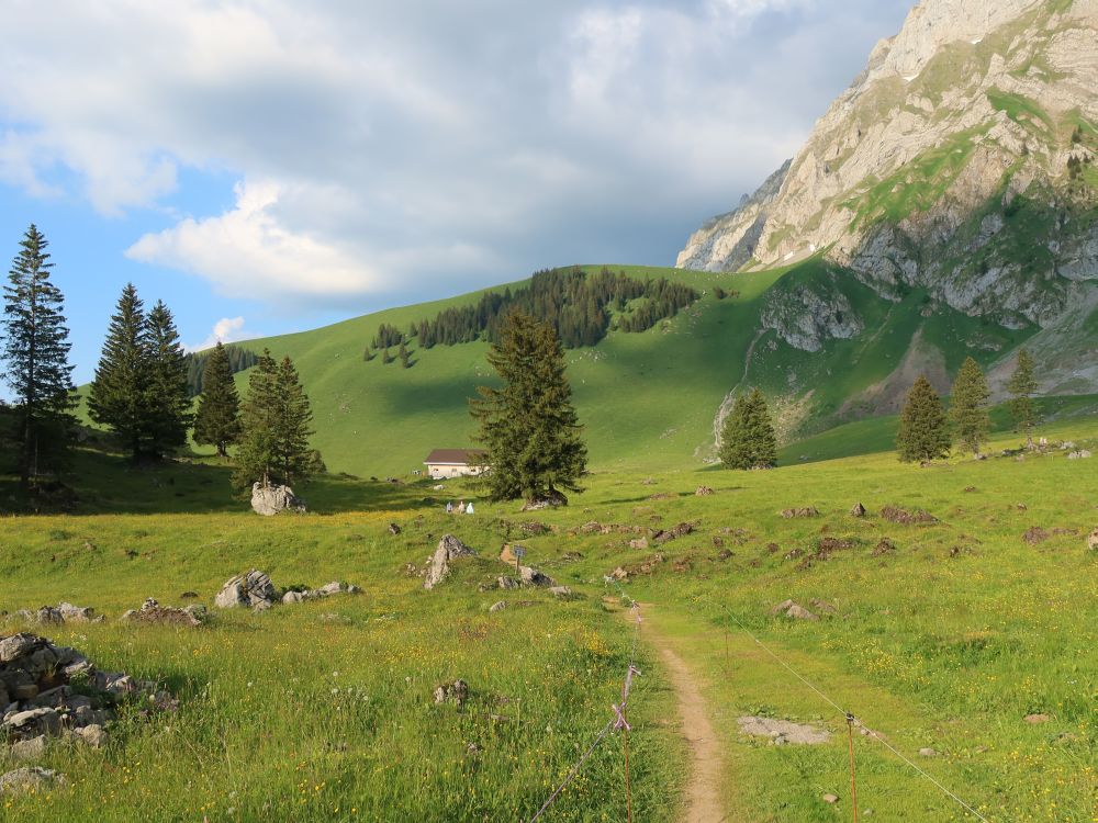 Wiesenpfad bei Zweigemmer