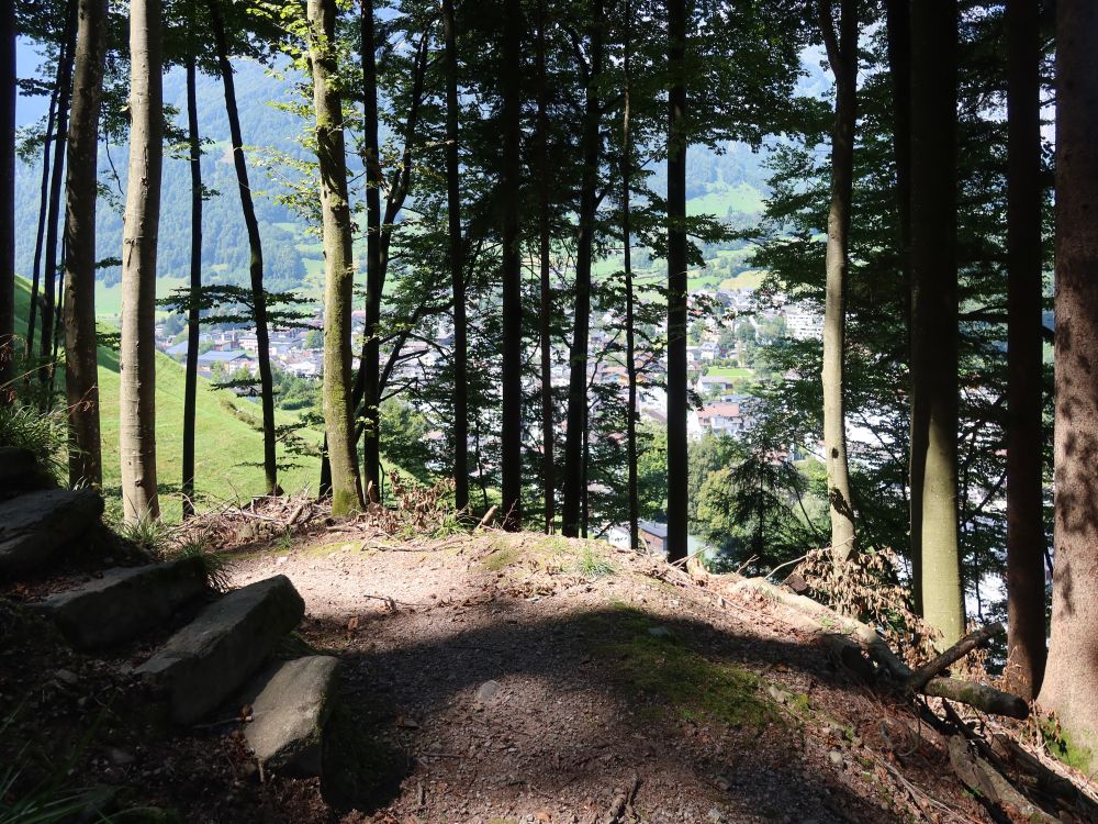 Treppe am Waldweg