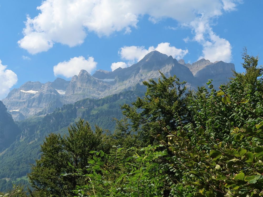 Bächistock und Vrenelisgärtli