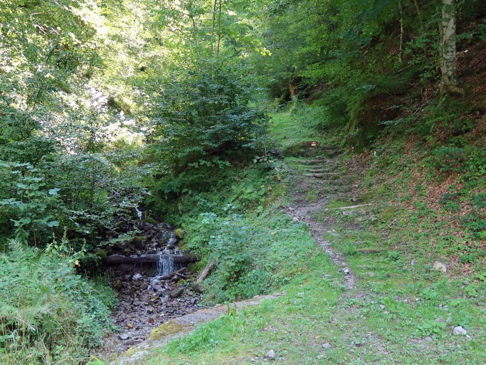 kleiner Wasserfall und Treppe