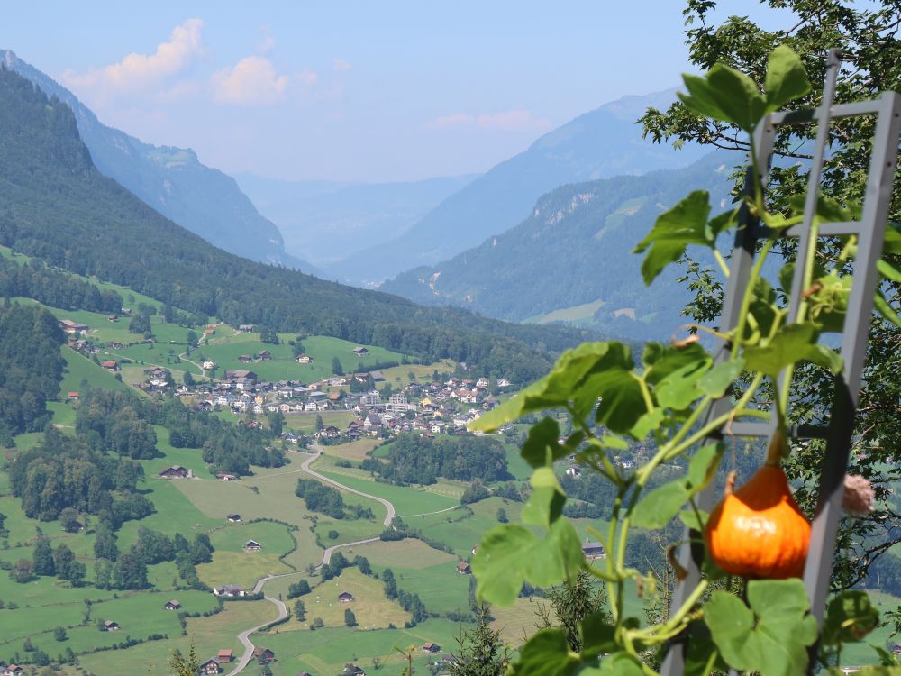 Blick ins Linthtal