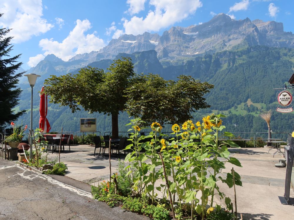 Terrasse am Tannenberg