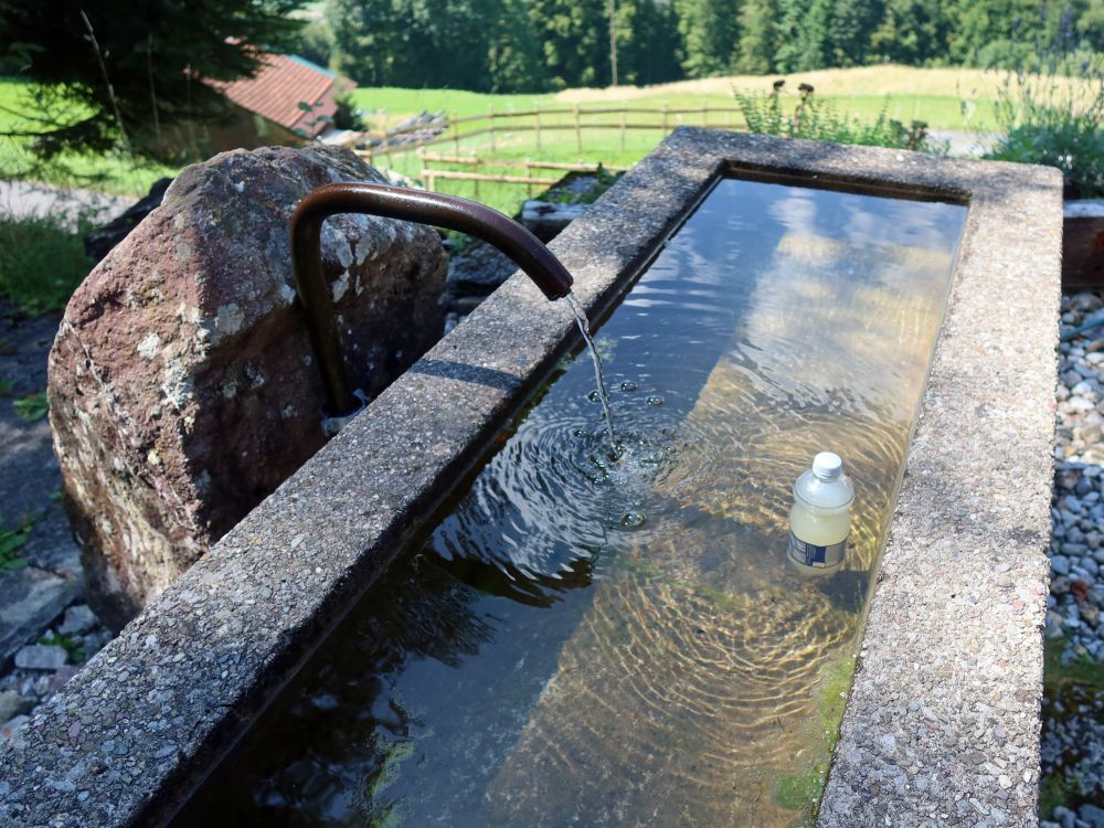 Getränkekühlung im Brunnen