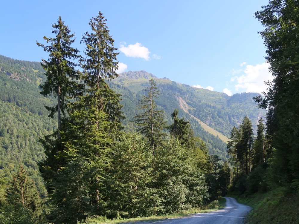 Schotterweg nach Blaabrus