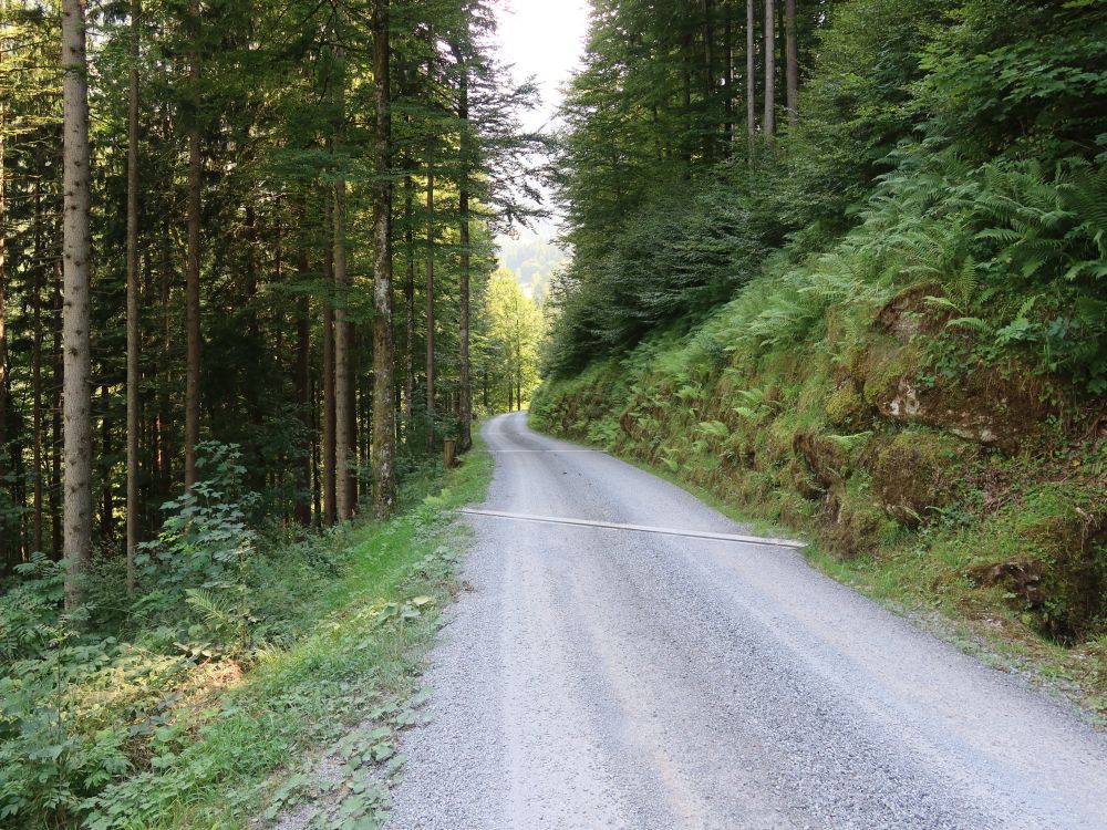 Schotterweg nach Blaabrus