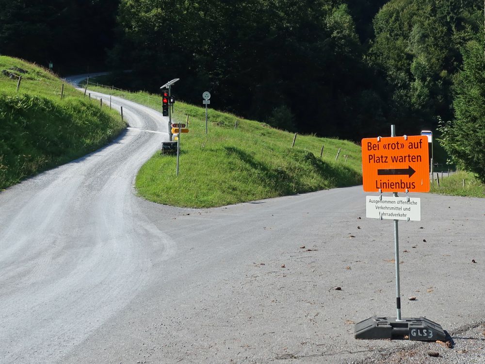 Ampel wegen Linienbus