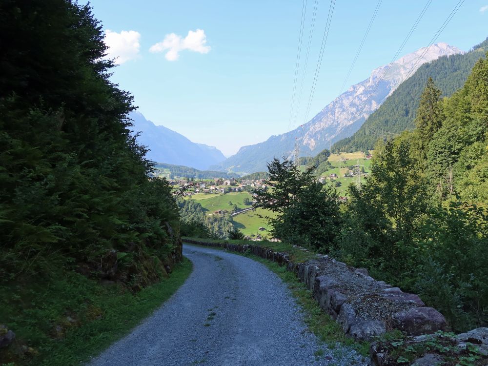 Weg überm Niederenbach