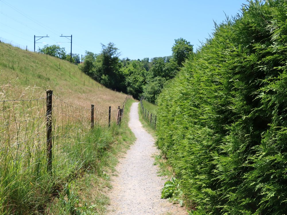 Wanderweg bei Thörishaus