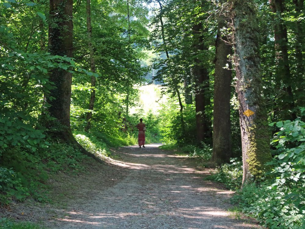 Waldweg