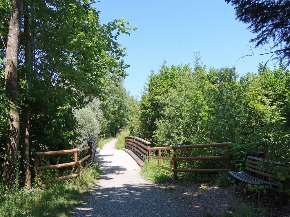 Brücke übern Scherlibach