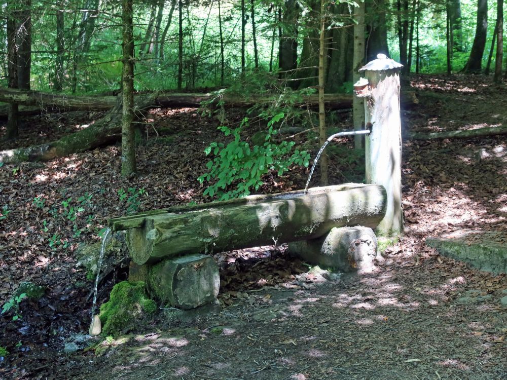 Brunnen