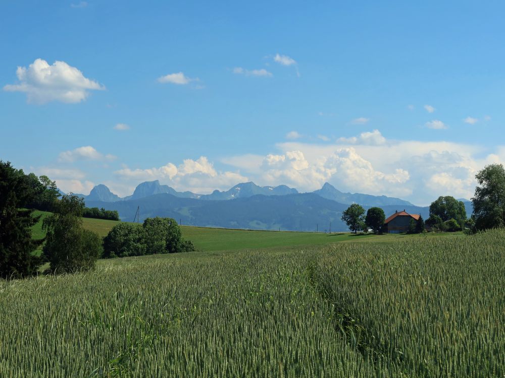 Nünenenflue, Gantrisch, Bürgle, Gemsflue und Ochsen