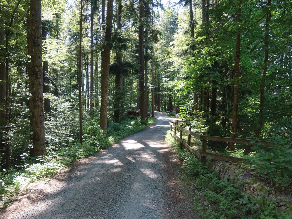 Waldweg