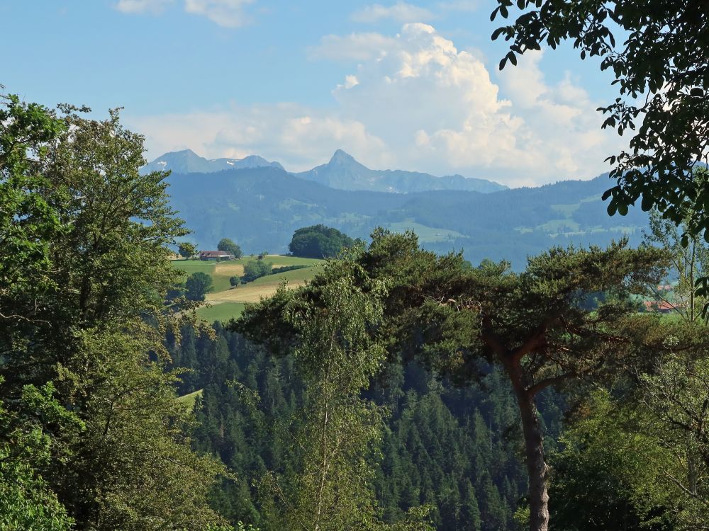 Bürgle, Gemsflue und Ochsen