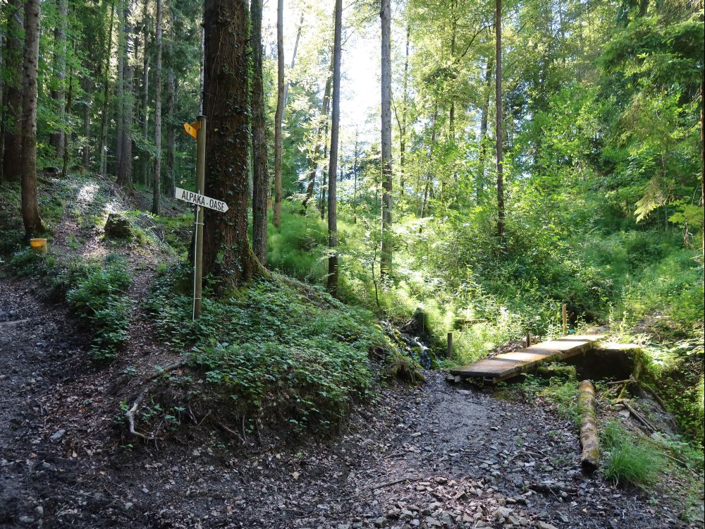 Waldweg