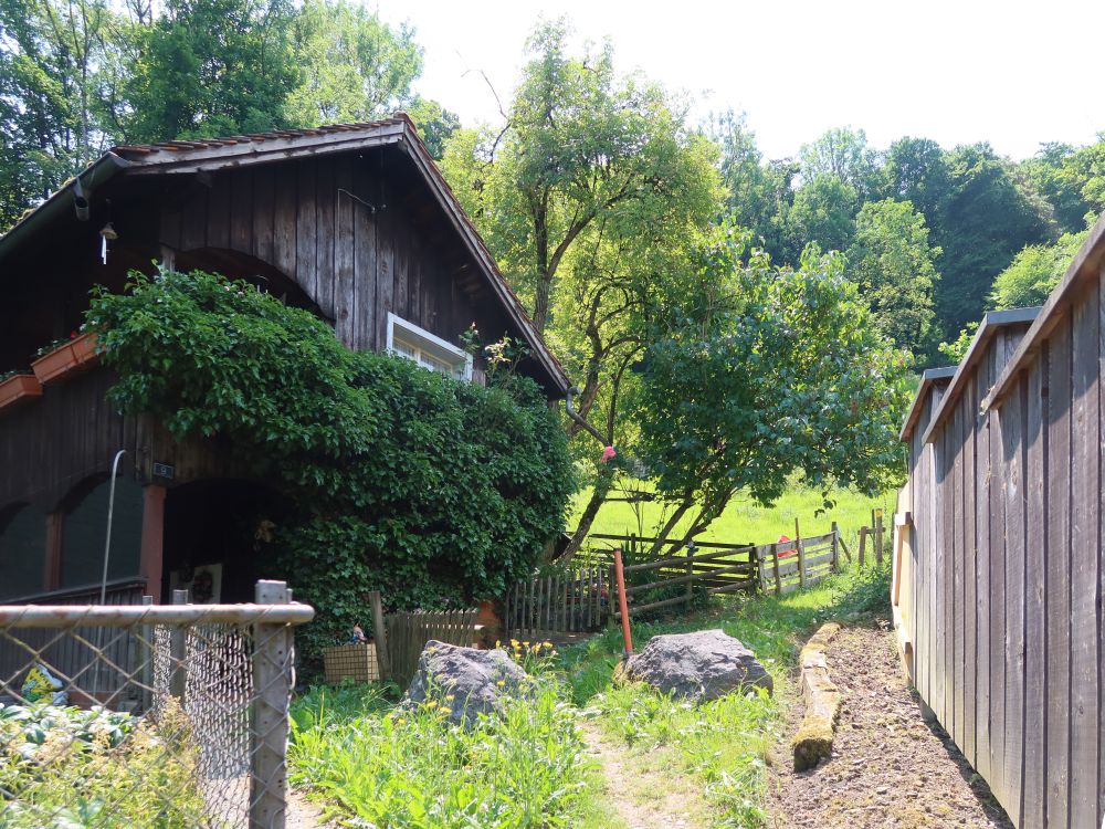 Pfad am alten Holzhaus