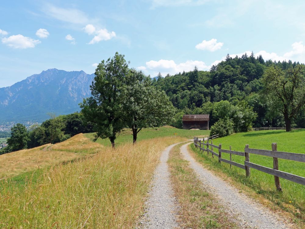 Wirtschaftsweg bei Flat