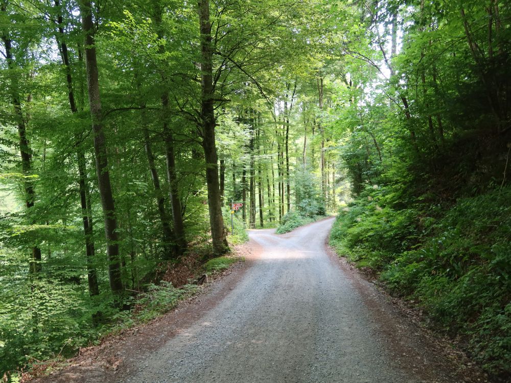 Waldweg