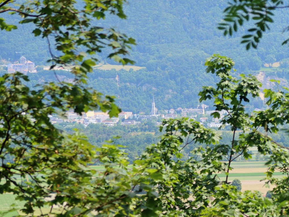 Blick durch die Bäume Richtung Vaduz