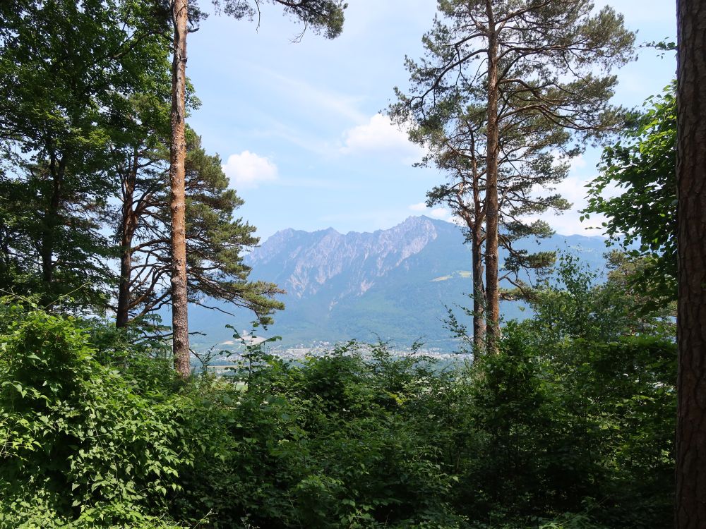 Liechtensteiner Berge