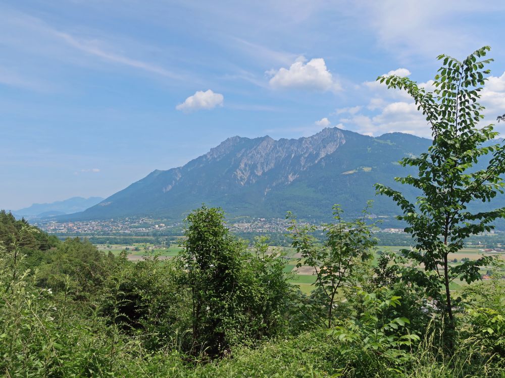 Liechtensteiner Berge