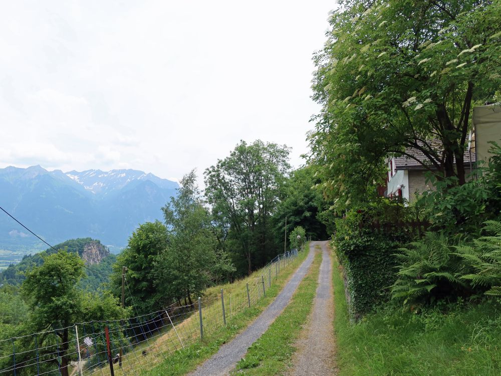 Weg bei Steig