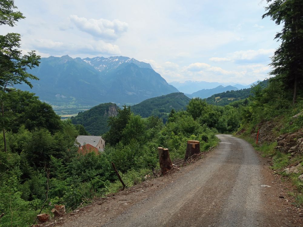 Wirtschaftsweg