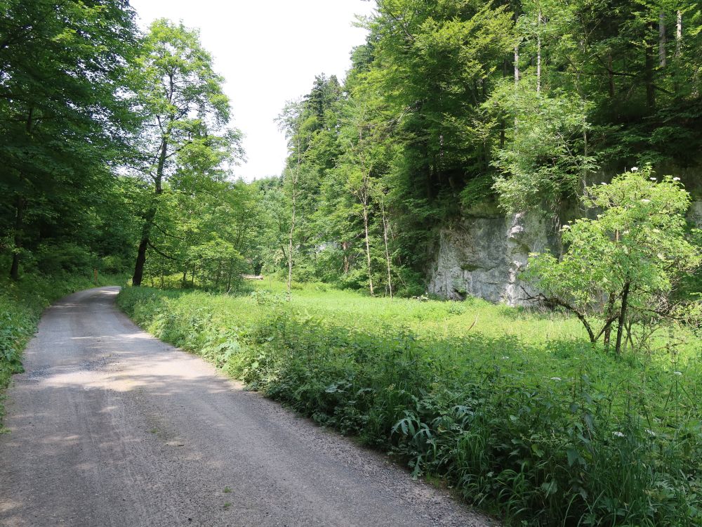 Weg im Valveror
