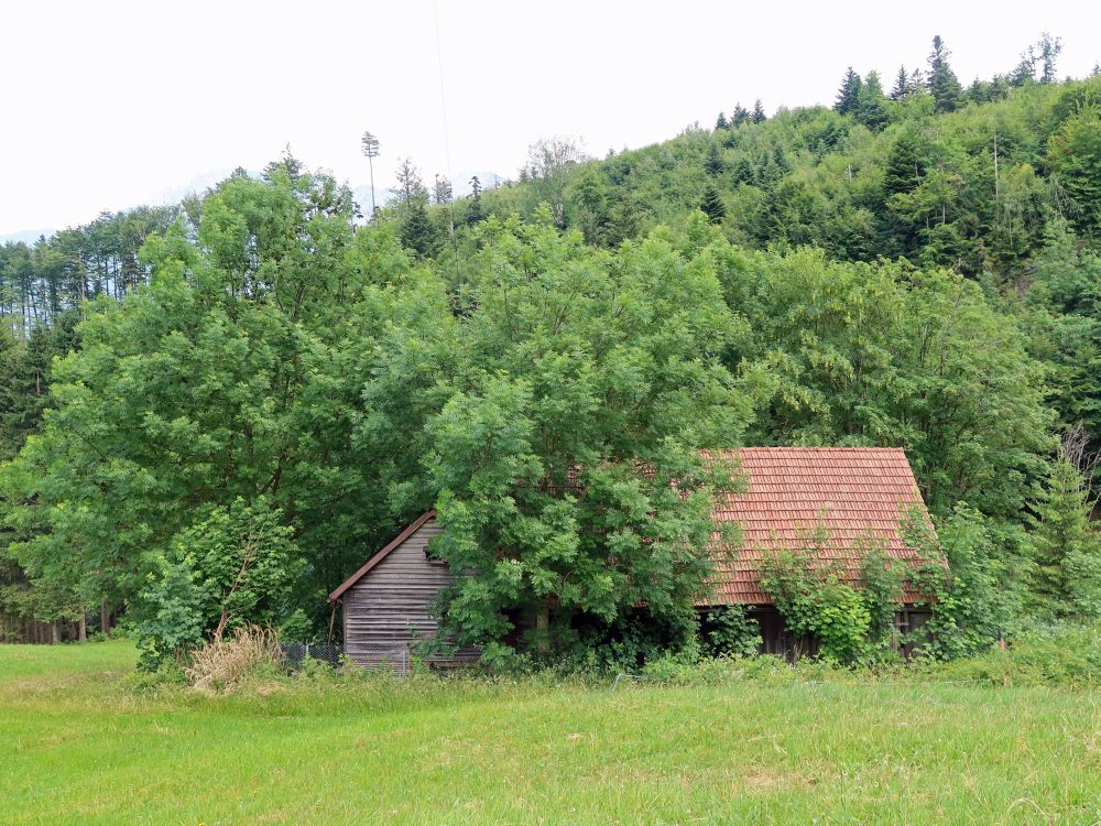 Scheunen am Birentobel zwischen Bäumen