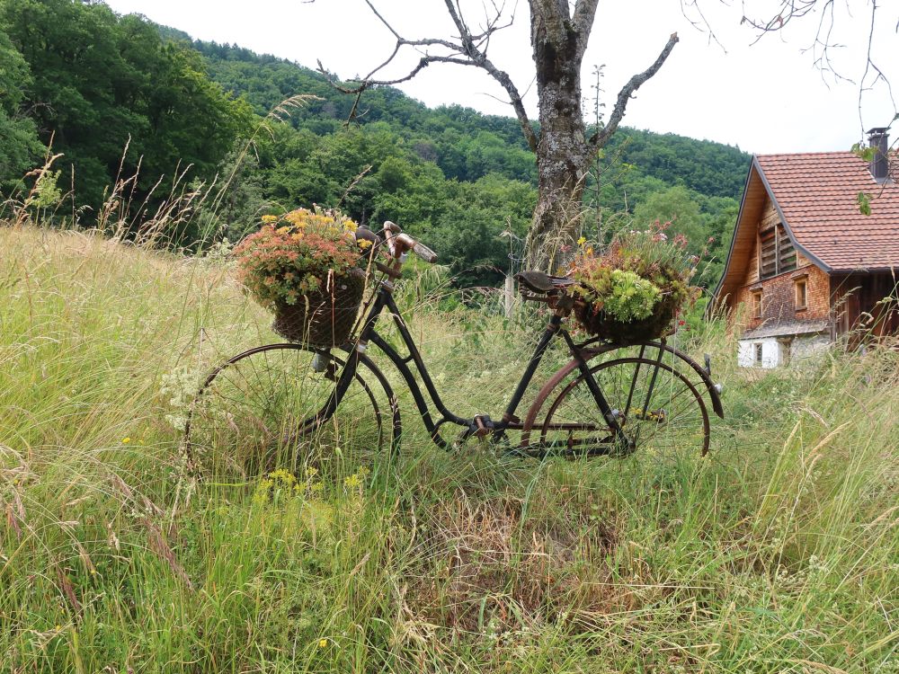 Fahrrad als Schmuck