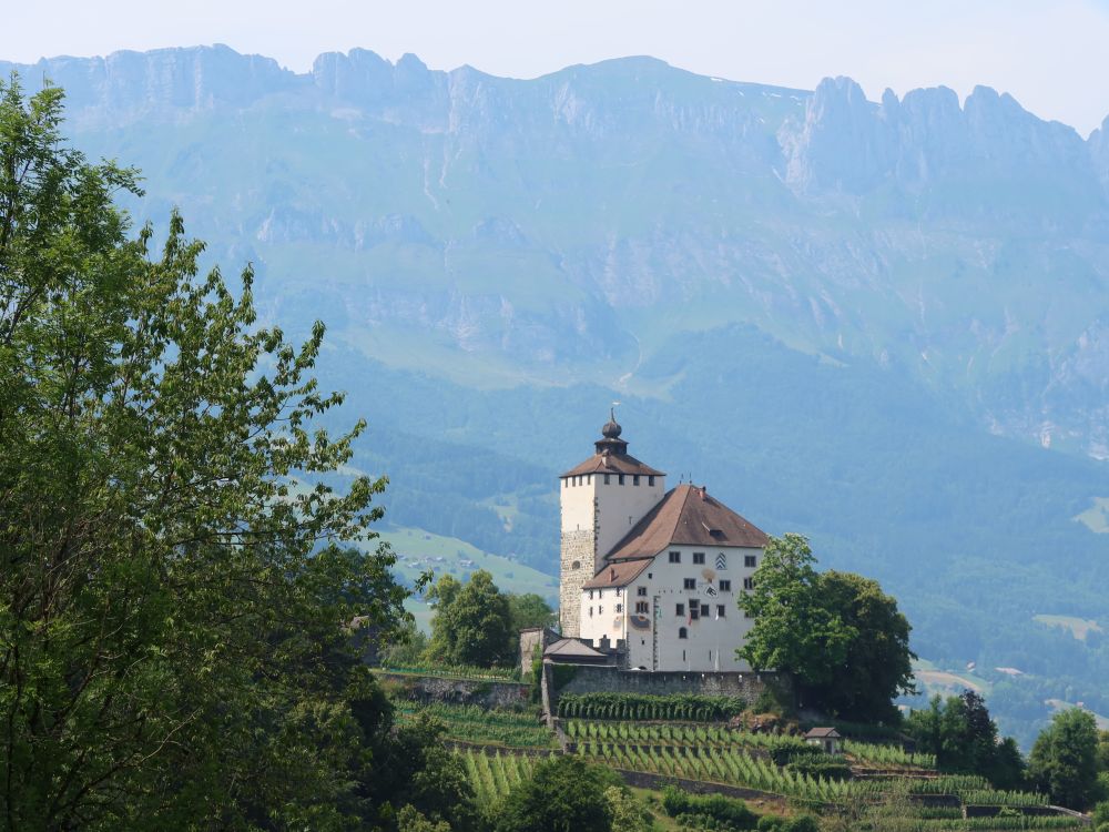 Schloss Werdenberg