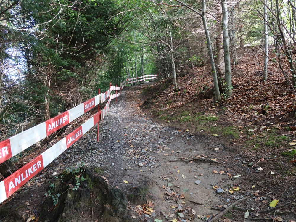 Weg oberhalb Baustelle