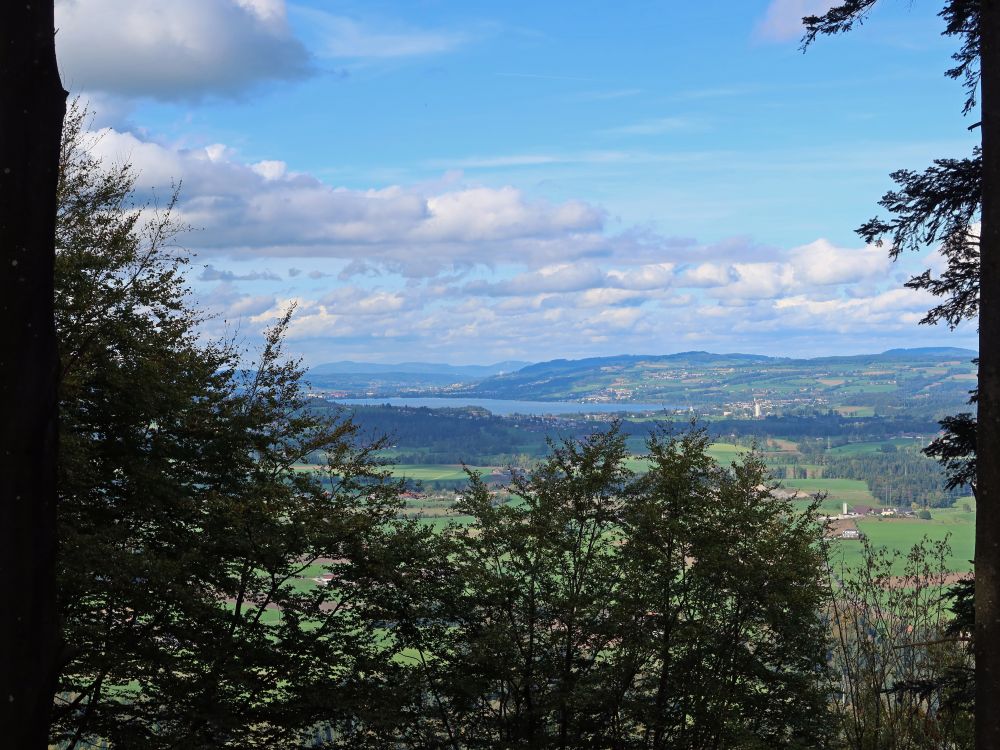 Blick zum Sempachersee