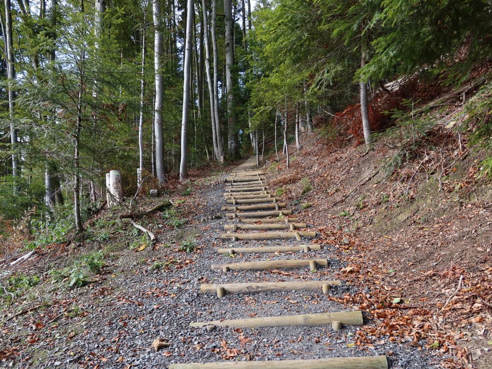 Treppe zur Wolfsschlucht hinab