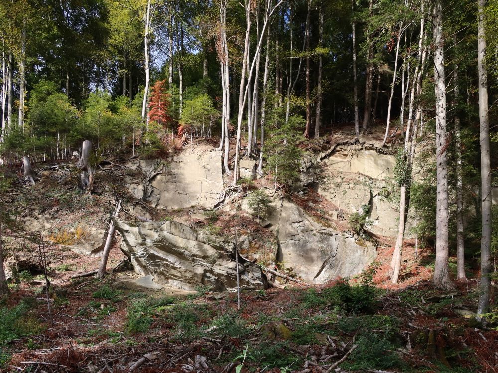 Felswand am Anfang der Wolfsschlucht