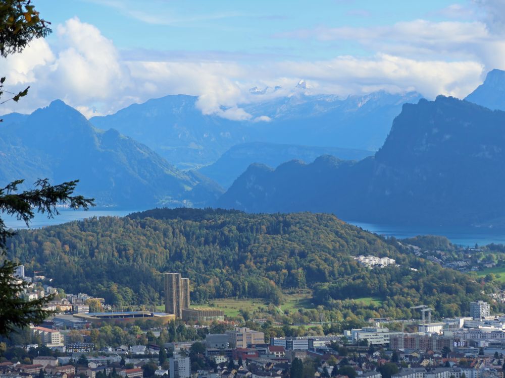 Vitznauerstock Bireggwald und Hametschwand