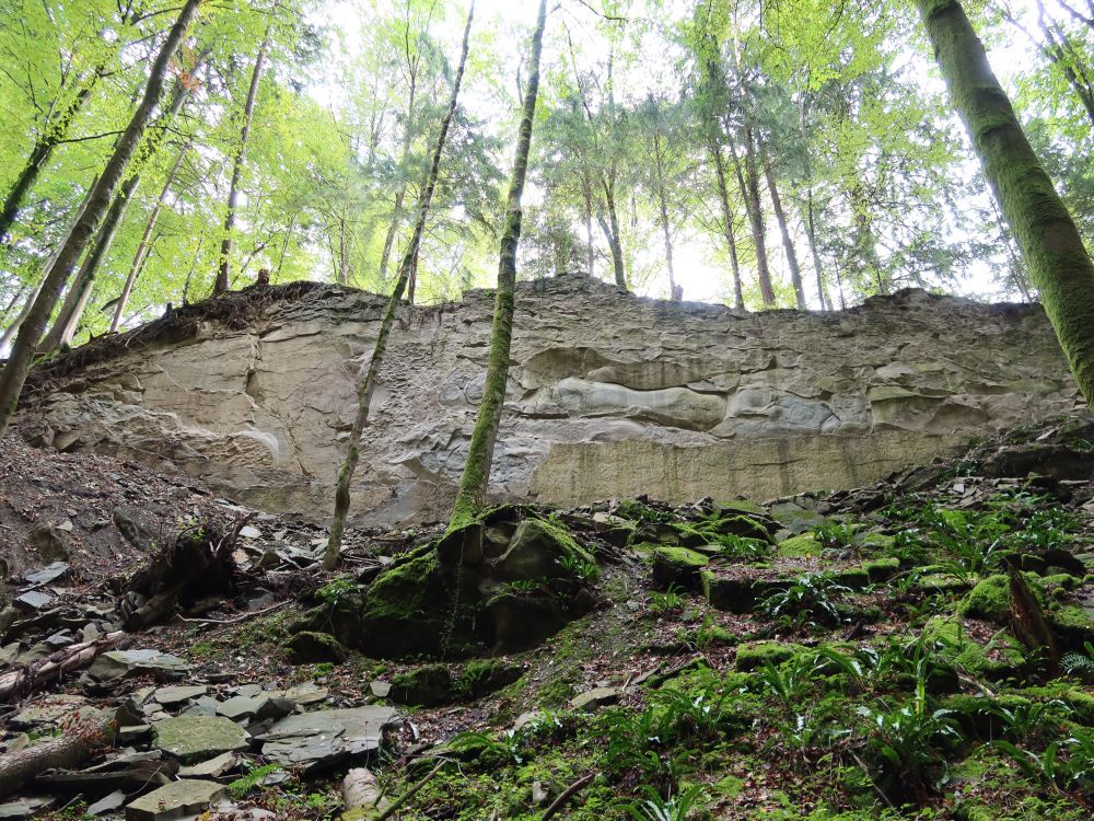 Felswand in Wolfsschlucht