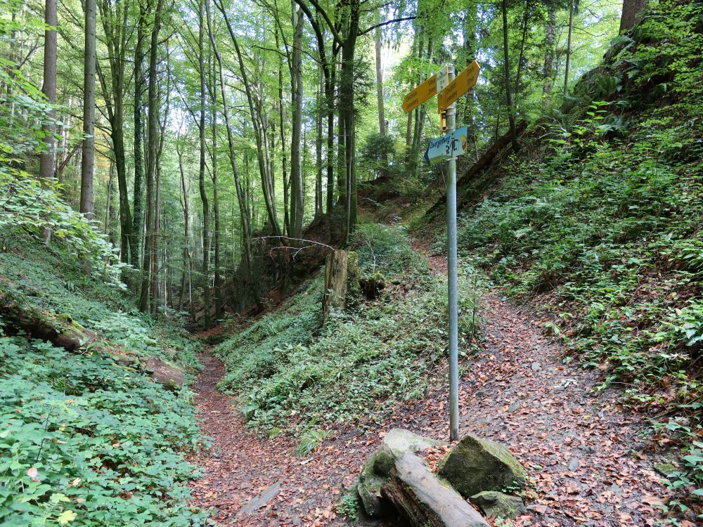 Weggabelung in der Wolfsschlucht