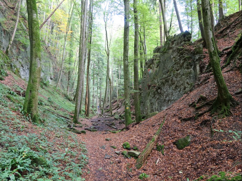 Wolfsschlucht