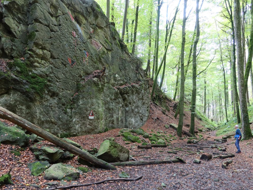 Felswand in der Wolfsschlucht