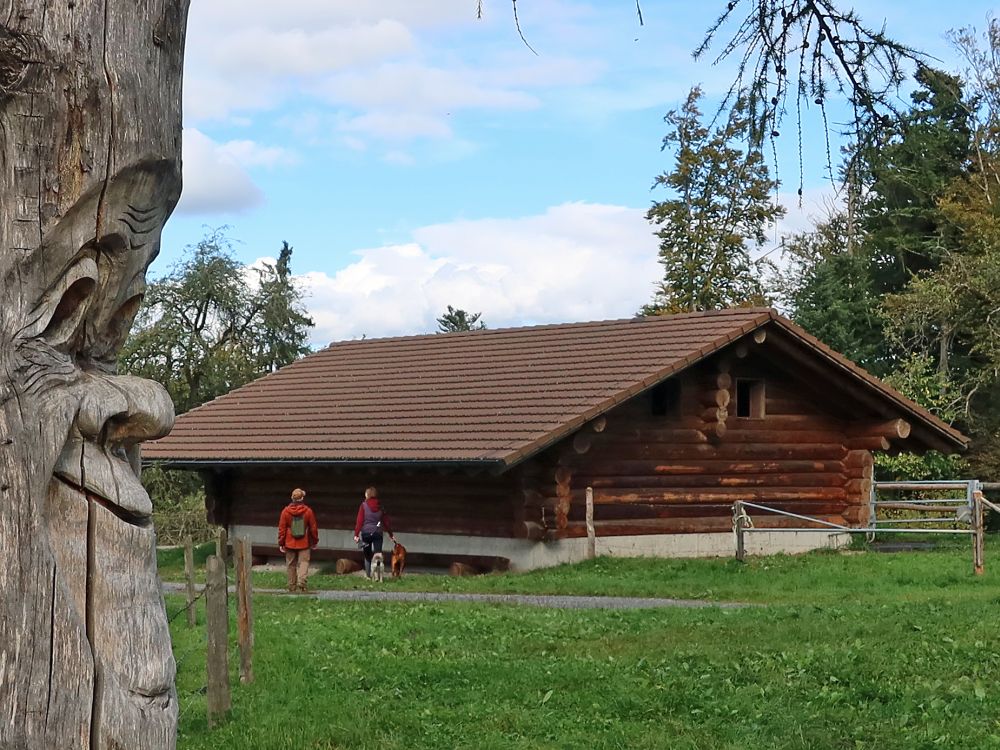 Stall auf der Chrüzhöchi