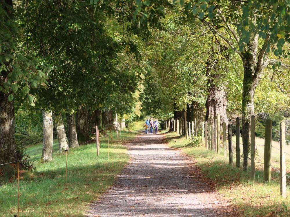 Weg auf der Chrüzhöchi