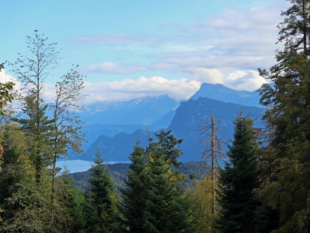 Bürgenstock und Niderbauen