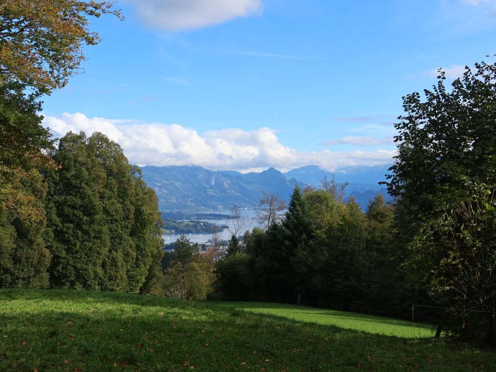 Vierwaldstättersee und Vitznauerstock