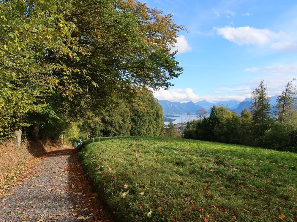 Weg am Sonnenberg mit Blick zum Vierwaldstättersee