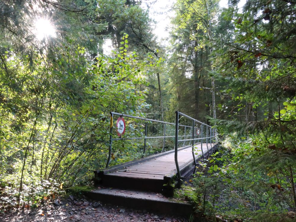 Steg über Emmezufluss Ränggbach