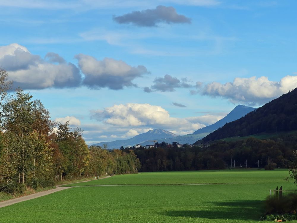 Blick Richtung Wildspitz und Rigi