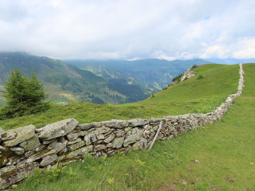 Natursteinmauer auf Rinderfans