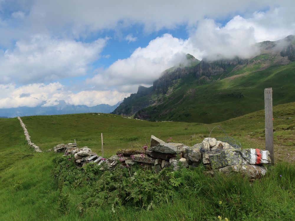 Natursteinmauer auf Rinderfans